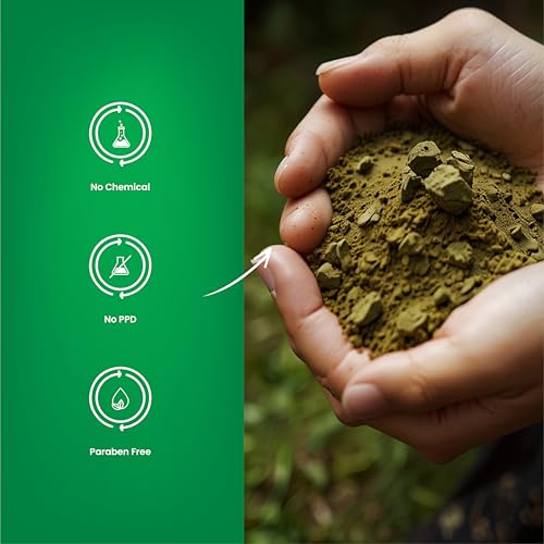 H&C Herbal Ingredients Expert Natural Henna Powder (227 Gm) for Hair Color | Provides Healthy & Shiny Hair | No Added Color, Filler or Preservatives | Lawsonia inermis/Marudhani Podi/Hina/Mehandi