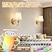 Battery Operated Wall Sconces set of Two,Wireless Wall Sconces with 10000mAh Dimmable Bulb and Remote,LED 15 Colors Rechargeable Gold Wall Sconce with Fabric for Bedroom Living Room Hallway Wall Decor