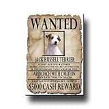 Jack Russell Terrier Wanted Fridge Magnet