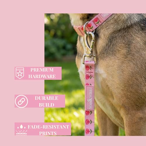 Image of Wag and Wilder Heavy Duty 5 FT Dog Leash for Small Dogs - Neoprene Padded Handle & Strong Metal Hook (Jaipur Bloom Pink)