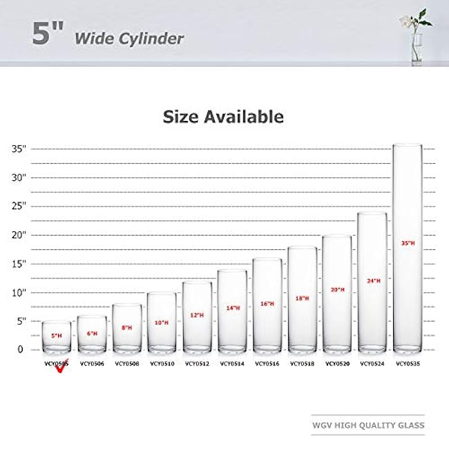 WGV Cylinder Glass Vase, Diameter 5, Height 5, Clear Glass Floral Planter Container, Floating Candle Holder for Wedding Party Event Home Office Decor, 1 Piece