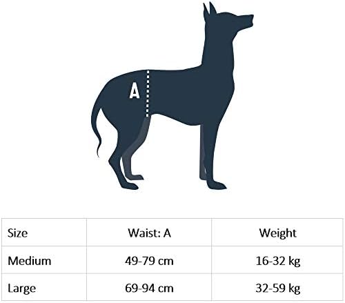 PetSafe CareLift Rear Support Harness - Lifting Aid with Handle - Great for Pet Mobility and Older Dogs - Comfortable, Breathable Material - Easy to Adjust - Medium, Carelift