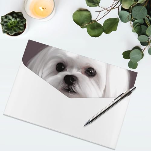 Porte-documents chien maltais : 6 compartiments pour protéger vos dossiers - 5