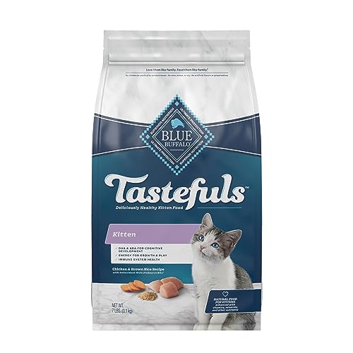 Blue Buffalo Cat Food Killing Cats De 15 bästa produkterna jämfört