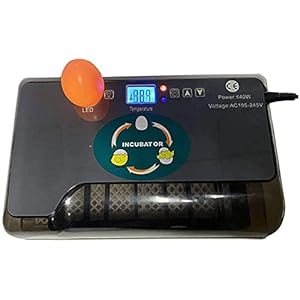 Ei incubator, ei-uitkomende incubator met laboratorium algemene doel 12 eieren incubators met temperatuurregeling voor…