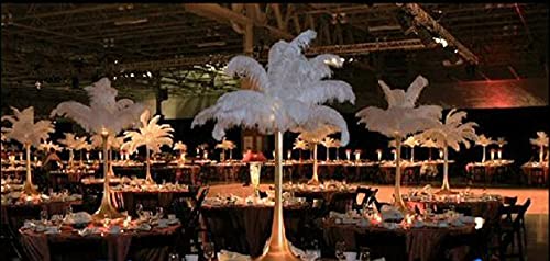 Ewanda Store 50Pcs Ostrich, Natural 5-8 Inch Home Decor Ostrich Feathers Plume Party Wedding Decorations(Black) #TOP4