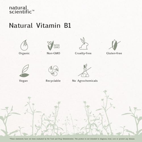 Natural Scientific Vitamin B1 (Thiamine) Supplement 100Mg thumb #2