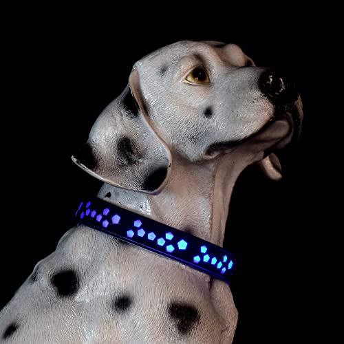DOGLED USB-C led Light up Dog Collar, 3D Design Comfortable and Soft Material,Multicolored Lighting，Night Dog Collar (ST, S(11.8-15.7"))