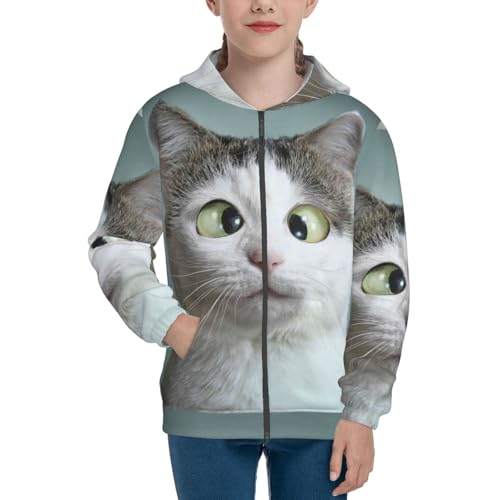 Funny Cat Kids Pullover Hoodies Boys Zip Up Sweatshirts Girls Athletic Clothes with Pocket3