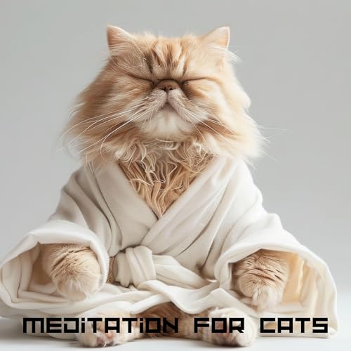 Image showcasing Meditation for Cats: Solfeggio Frequencies Therapy for Stress and ...