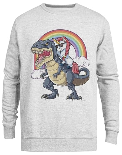Pull dinosaure licorne pull gris cadeau insolite et amusant à offrir