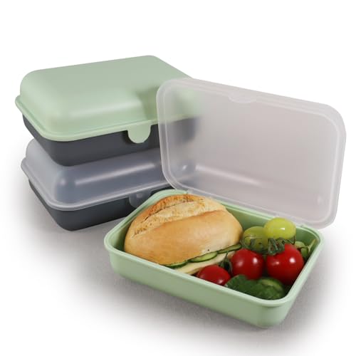 Blade Brotdose Kinder und Erwachsene Lunchbox Snackbox Meal Prep Box Frischhaltedose mit...
