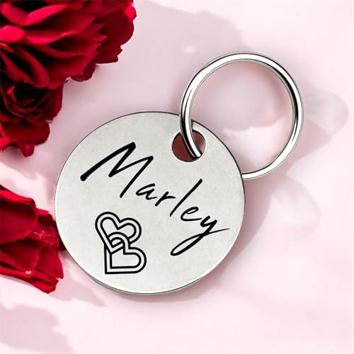 GOLDEN PAW Hundemarke mit Gravur personalisiert, Namensschild mit Telefonnummer, Adresse für Halsband - robuste Tiermarke aus Edelstahl, Dog Tag, Anhänger für Hunde, Katzen, Pferde & Welpen | Silber