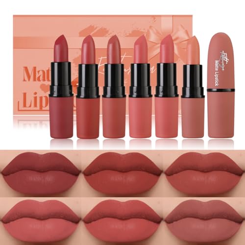 Katiluxiya Juego de 6 barras de labios mate para mujer, resistentes al agua, color rosa malva de 24 horas, de larga duración, juego de mate labial de 24 horas, kit de regalo de maquillaje. (03, Color)