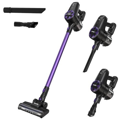 VacniQ 250w/30000pa Aspirateur sans Fil,Tube Métallique Rétractable,Deux Vitesses,Aspirateur...
