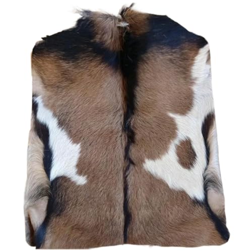 Manta para Cavalo Sela Vaquejada Profissional - Proteção Lombar Exclusiva, Modelo Novo Premium