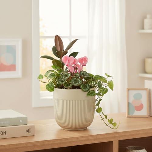 Image of Xtore Elegant Dual-Texture Ceramic Planter Pot for Indoor Plants | Modern Ribbed Flower Pot for Home, Office Desk & Balcony Decor (Cream Beige - Planter only)