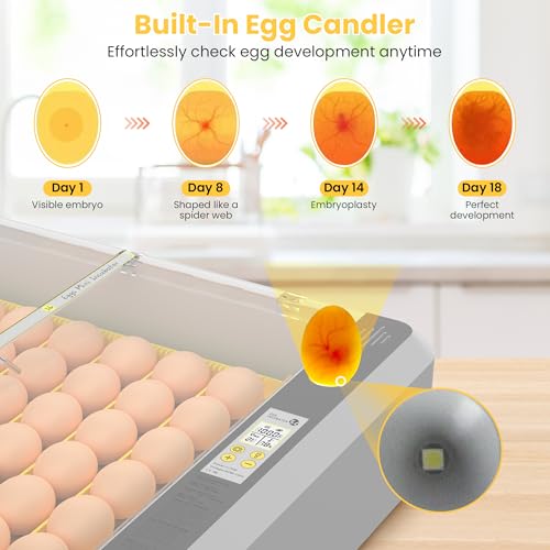 36-60 Egg Incubator with Automatic Egg Turning and Humidity Control, Adjustable Chicken Egg Incubator with Digital Display, for Hatching Eggs Include Chicken Duck Quail Eggs(Yellow) - Thumbnail 5