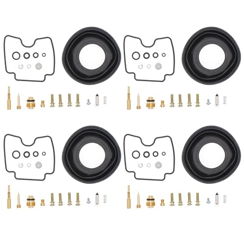 ɓK FZS1000 FZ-1 2001-2005 FZS 1000 4X Lu^[ Lu^[rhLbg