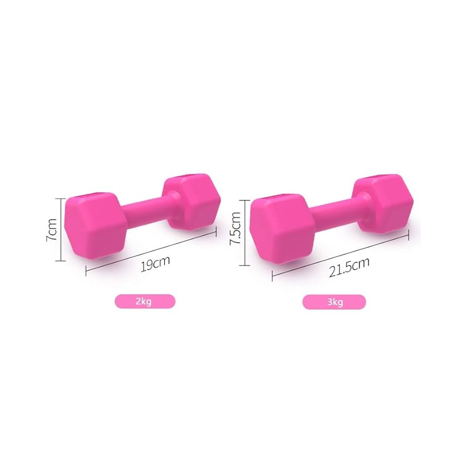 30KG 六角形ダンベル ゴムコーティング ダンベル ヘックスダンベル 2.5