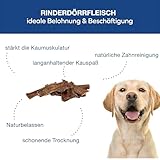 Tiernahrung Schwenner Rinderdörrfleisch für Hunde - 8-12 cm leckere Kaustangen - Hundeleckerli aus Trockenfleisch - 1000g Hundesnack