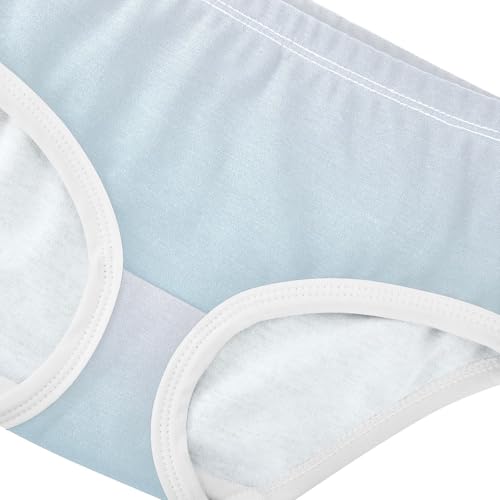 Magnolia Light Blue Gradient Girls Underwear Toddler 2t Cotton Panties for Girl Animal Briefs Undies Kids4