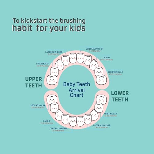 Image of Kids Toothbrush Blue for 2-6 Years with FREE Toothpaste | Soft Bristles | Gentle Gum Care | Easy Grip Handle | Daily Kids Oral Hygiene Combo