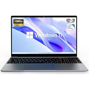 ApoloSign 12 GB de RAM, 512 GB SSD portátil, portátil Full HD de 15.6 pulgadas, ampliable a 1 TB, procesador N5095, WiFi de doble banda, ángulo de visión de 178°, altavoces duales, gris