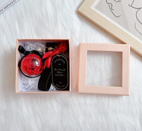 vU[uht[ L[z_[ ͂Ȃ  FB ޏ  킢 蕨 o^C LO a lC j zj ̓ v[g NX}X w  Mtg (ubN)