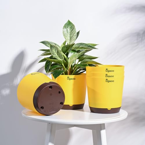 UGAOO 7.5 Inch Krish Self Watering Planter - Set of 5 (Yellow) | ...