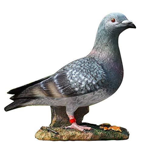 Statue de pigeon anti-monotonie pour égayer une pelouse vide ou un patio triste
