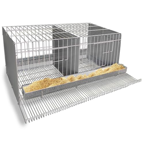 Gaiola Viveiro Codorna Gigante Poedeira Ovos Postura 16 Aves