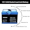12 Volt 12AH Battery for Peg Perego Tractor John Deere Gator XUV Polaris RZR 900 Polaris Slingshot Gaucho Rock'in 12V Replacement Battery for Ground Loader New Holland T8 Tractor Kids Ride On Car Toys