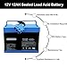 12 Volt 12AH Battery for Peg Perego Tractor John Deere Gator XUV Polaris RZR 900 Polaris Slingshot Gaucho Rock'in 12V Replacement Battery for Ground Loader New Holland T8 Tractor Kids Ride On Car Toys