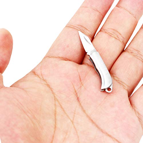 Miniature Gadgets Pocket Knife Collection, Eastern Delights EDC Tiny Multifunction Tool (Silver Folding)