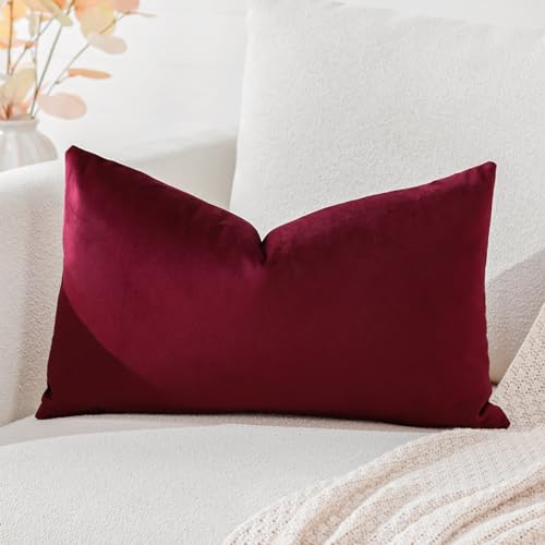 Artscope Luxury Velvet Cushion Covers Super Soft Decorative Throw Pillow Covers Case Lumbar Cushion Cases for Sofa Couch Bedroom Car Decor 30x50cm Wine Red