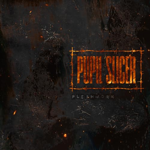 Fleshwork [Explicit]