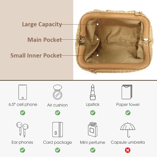 AHONEY Straw Purse Beach Bag Straw Designer Handbag for Women Nude Clutch Dumpling Pouch Boho Crossbody Shoulder Bags for Vacation Beach Summer3