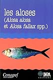 Les aloses (Alosa alosa et Alosa fallax spp.) : Ecobiologie et variabilité des populations: Écobiologie et variabilité des populations.