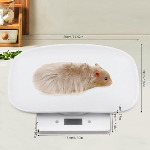 Bilancia digitale per alimenti - Vassoio di pesatura da cucina con display LCD, funzione tara, 4 unità di misura, intervallo di pesatura 0,0022-22,05 libbre, ideale per frutta e piccoli animali