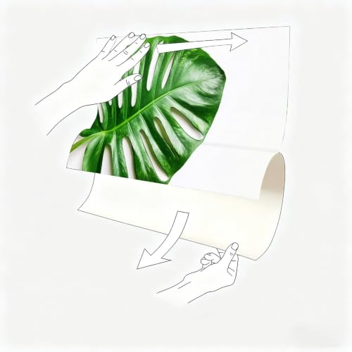 Vinilo autoadhesivo monstera resistente de gran tamaño 120l x 80an cm 6