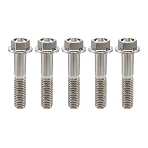 Image of Rison Titanium Flanged Hex Head Bolt M8x1.25x25mm 6AL4V Aerospace Grade Ti Bolt Original Color Pack of 5
