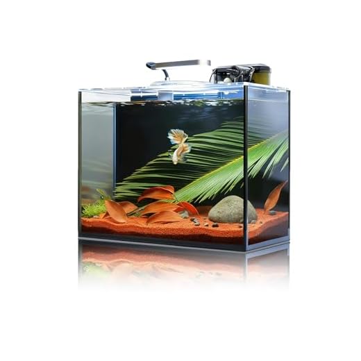 2.6 Gallon Desktop Fish Tank Set