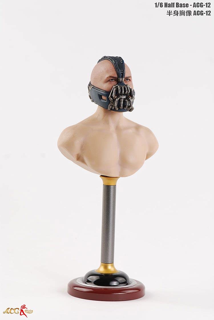 Amazon.co.jp: 【Tbmodel 】ACGTOYS 1/6 フィギュア 男性 バスト