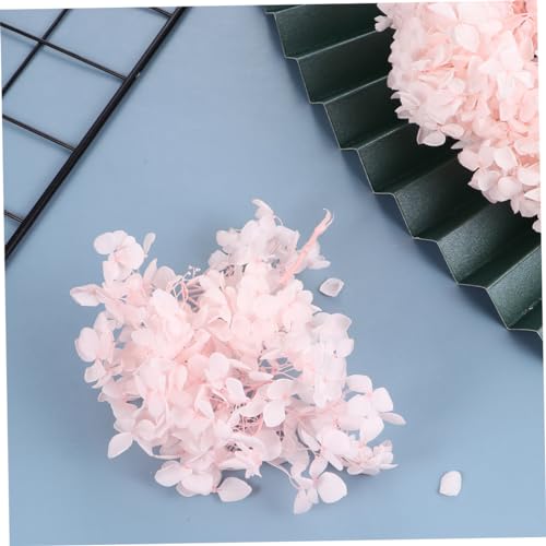 Pétalos de flor secos para decoración y arte de uñas miniatura 3
