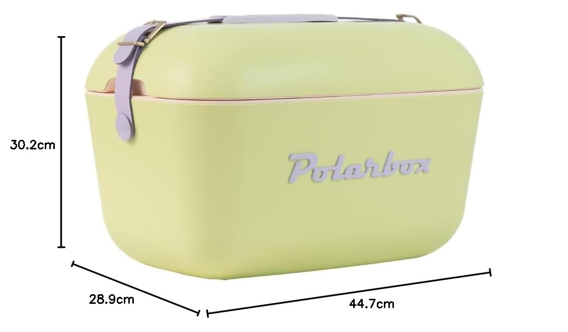 Polarbox Nevera CoolerBag 20L Verde Lima - Pop con Asa Malva