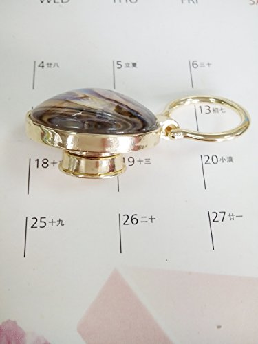 Image of Transparent Glass Natural Abalone Paua Shell Magnetic Eyeglass Holder for Shirt