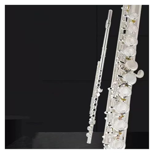 �t���[�g 17 ���t���[�g�I�[�v���ƃN���[�Y�̌��p�I�[�P�X�g�����肵�� C �L�[ 16 ���N���[�Y�h�z�[���t���[�g(17 holes)