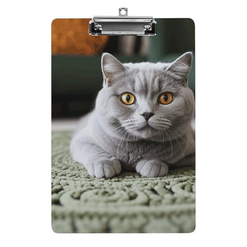 Porte-bloc acrylique chat mignon pour animer les classes des enseignants