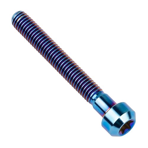 Image of Titanium Torx Square Head M6 x 10 15 20 25 30 35 40 45 50 60 65 70 80mm Screw Pack of 5 (Burn Blue, M6x45mm)